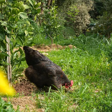 L'espigoulie Affittacamere *
